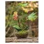 SuperMoss Forest Terrarium Kit – 4oz